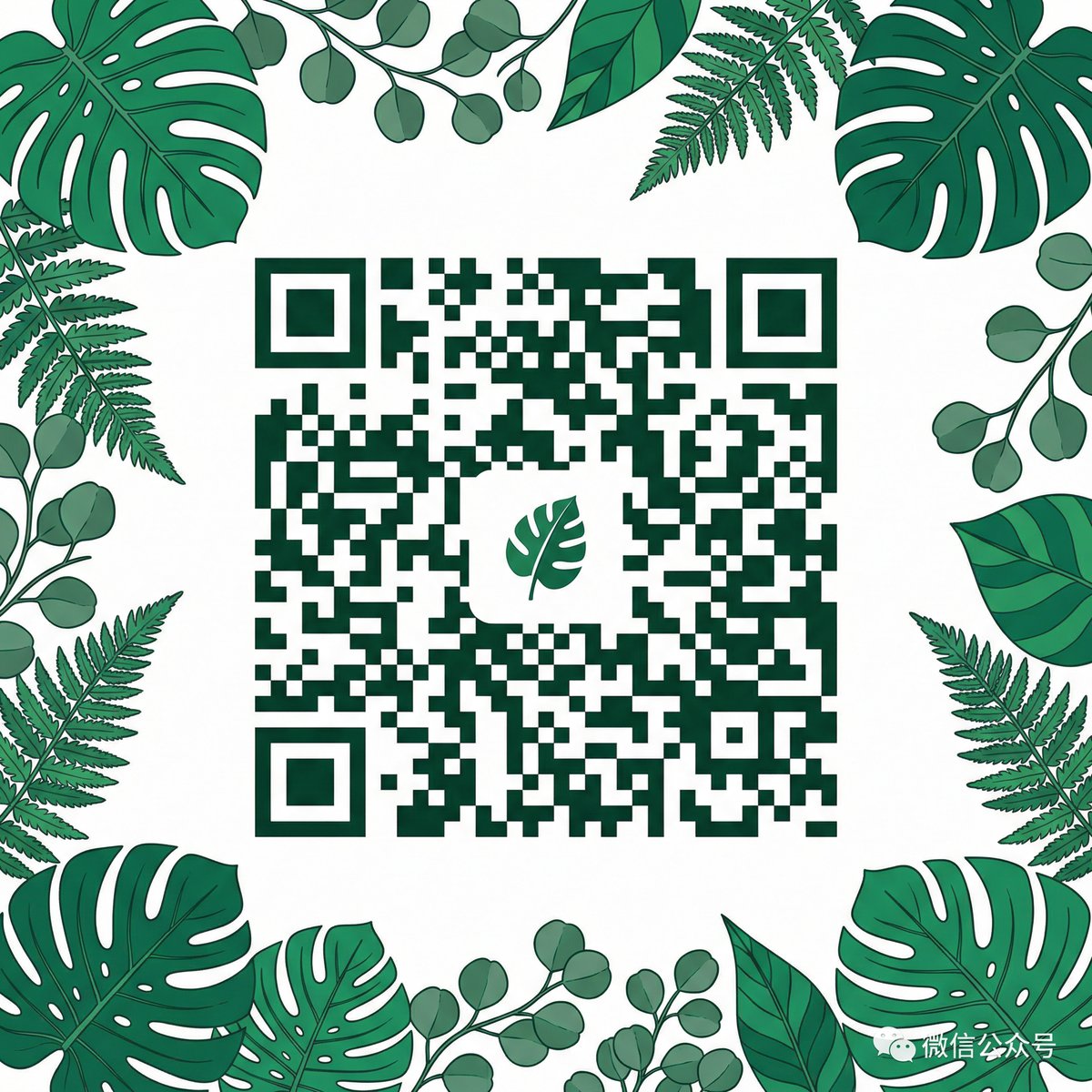 抖阴公众号